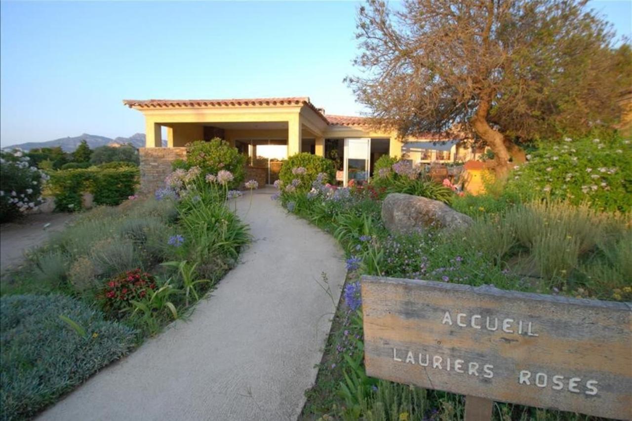 Location De Vacances Olivier Jardin Privatif Et Piscine Chauffee Partagee Calvi  Exteriör bild